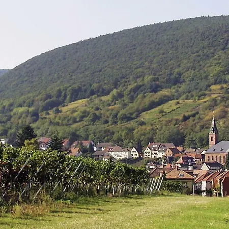 Raabe Sankt Martin