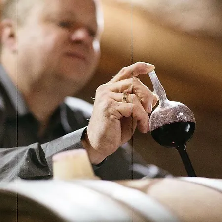 ホテル Raabe ザンクト・マルティン