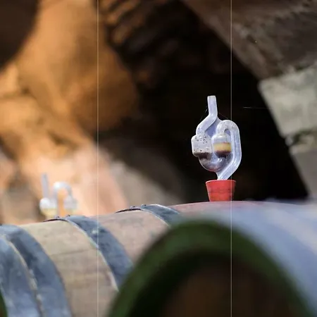 Raabe ホテル ザンクト・マルティン