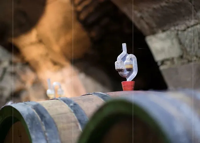 Raabe Otel Sankt Martin